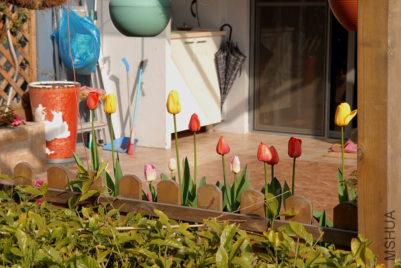 ������Ժ�����濴