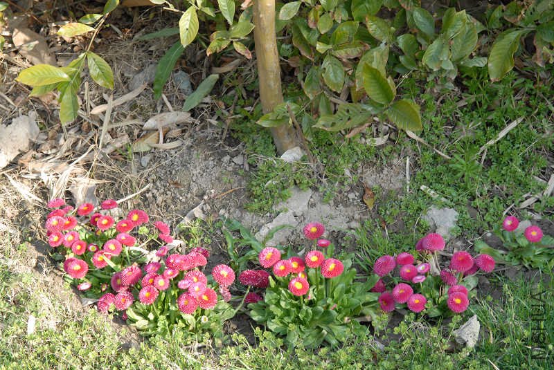 ·�ߵ�С�����㲻Ҫ��