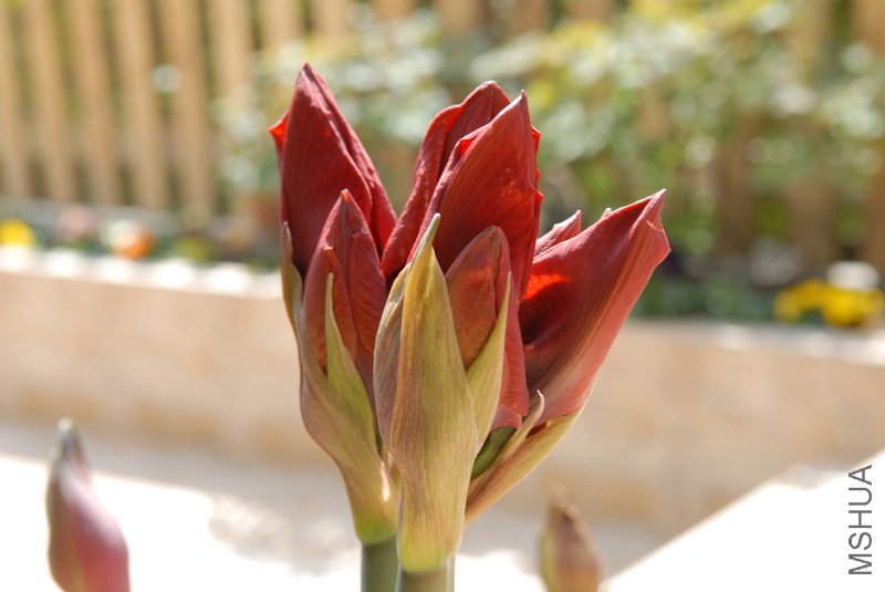 ������Ҫ���ˣ�������û��������