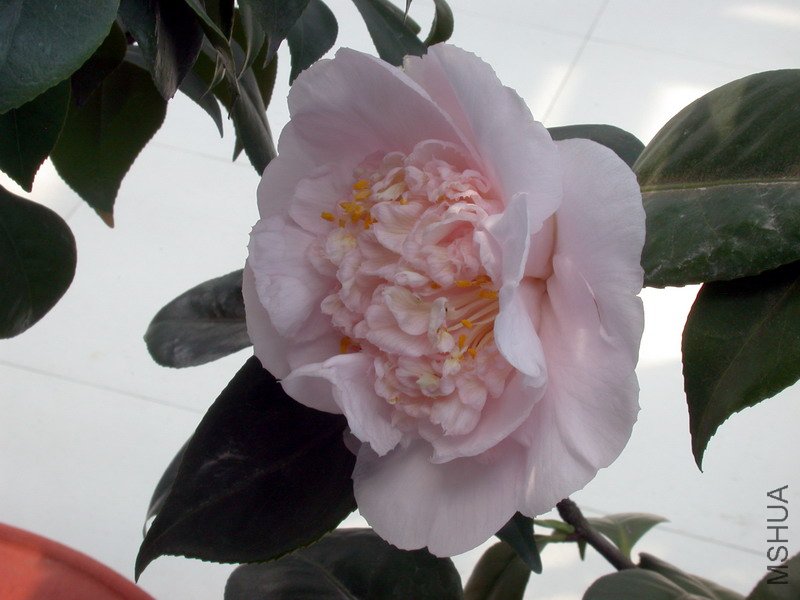 ����֮�����һ��