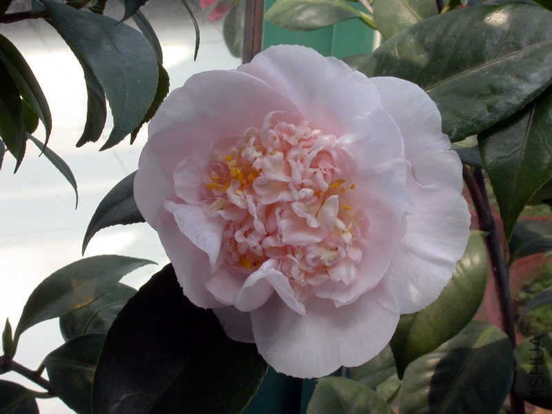 ����֮�����һ��