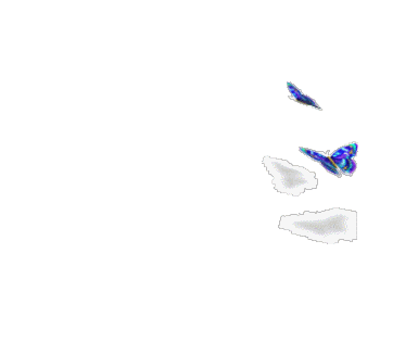 1.gif
