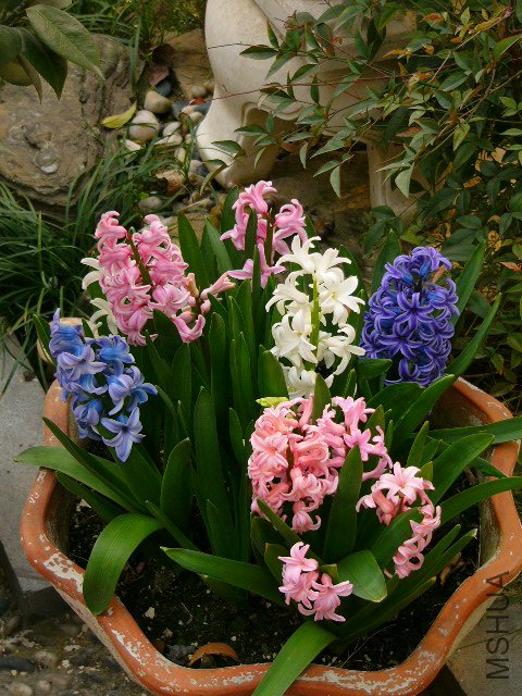 P1030060.JPG