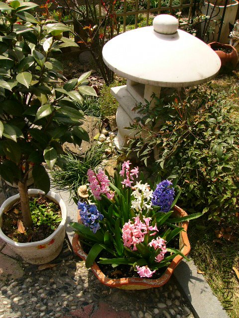 P1030044.JPG