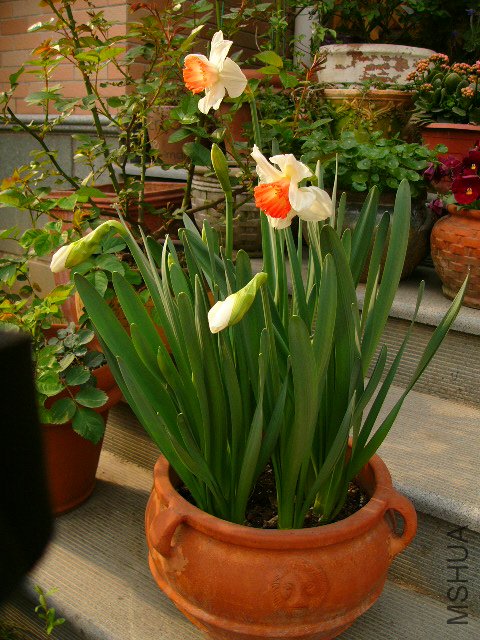 P1030051.JPG