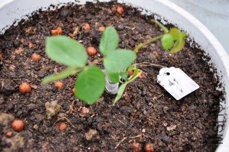 �Ų�
