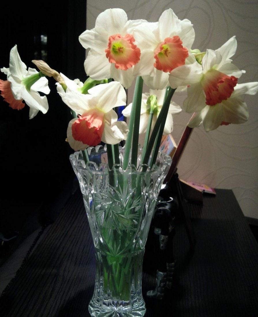 �ۺ�����