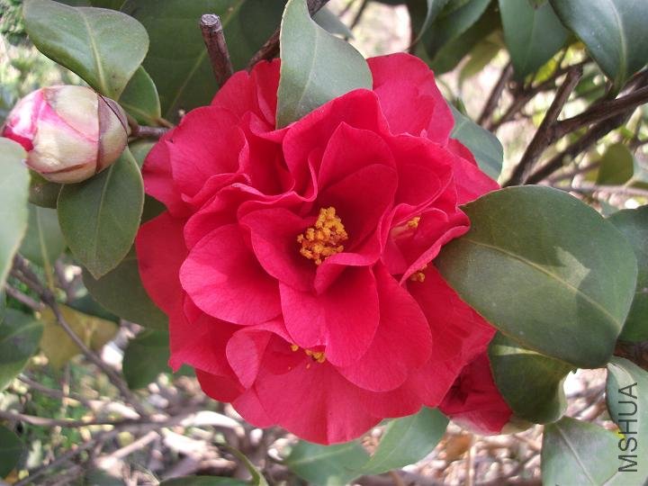DSCF0872.JPG