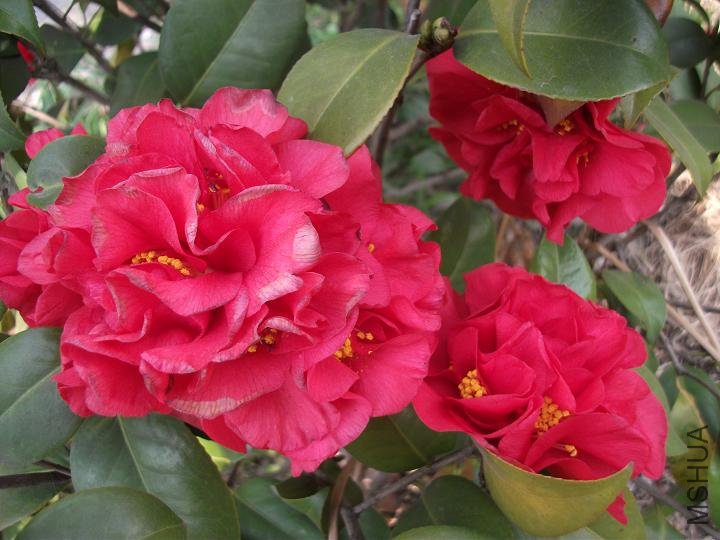 DSCF0873.JPG