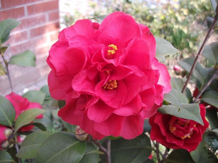 DSCF0870.JPG