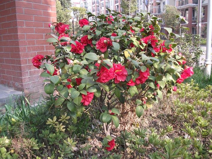 DSCF0869.JPG