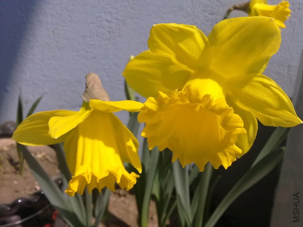 20110327101.jpg