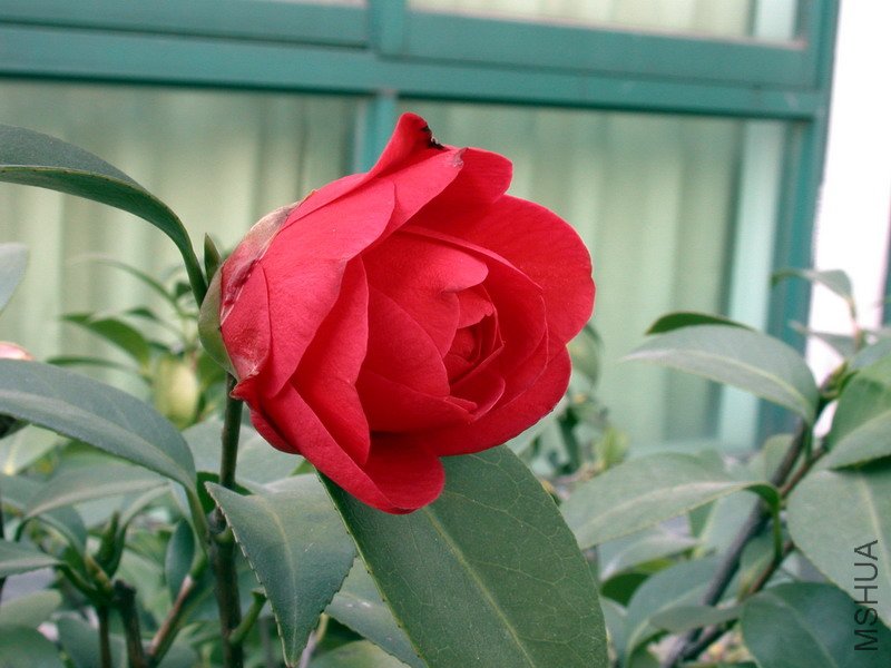 �������