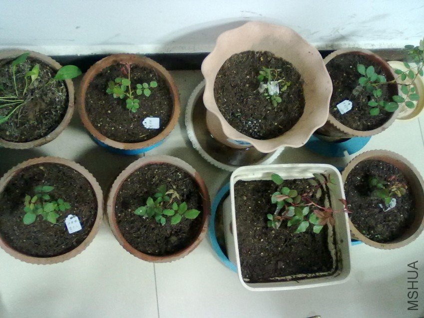 20110328698_conew1.jpg