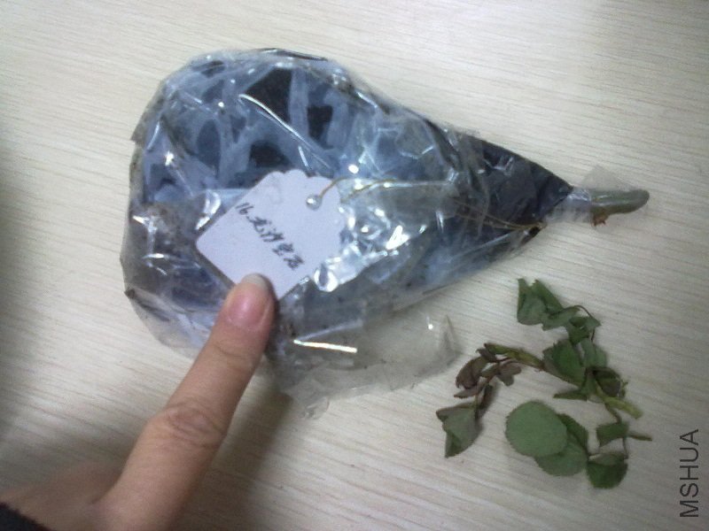 20110324146.jpg