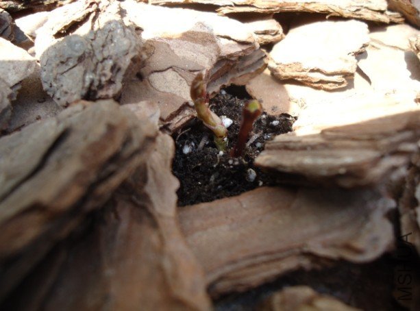 ��ʱ����������