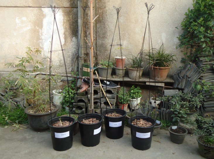 ����һ�� 