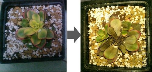 ���ջ�֮��