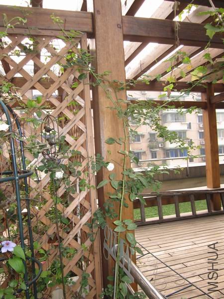 YY����ٱ�ɽ09�������춼û������..���ҿ��ܳ���Ī���Ǵ�������������ɳ..���괺����Խ� ...