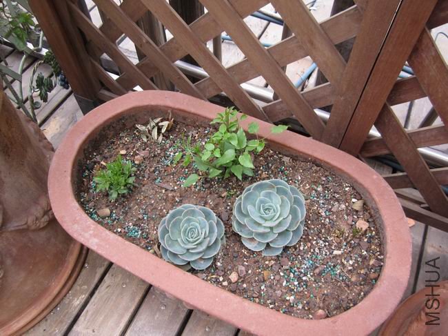 �ط�С��������ͳͳ���ܼ���ֲ������������ֲ�´��Ϸ���