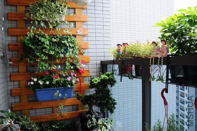 ������С ��̨9.JPG