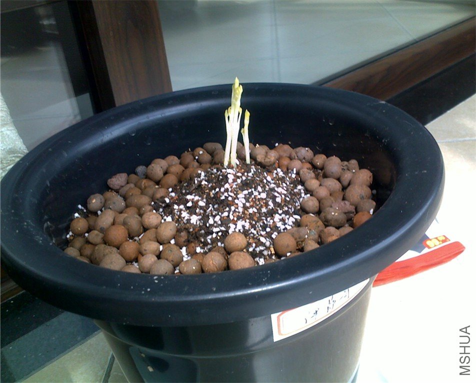 20110316232_����.jpg