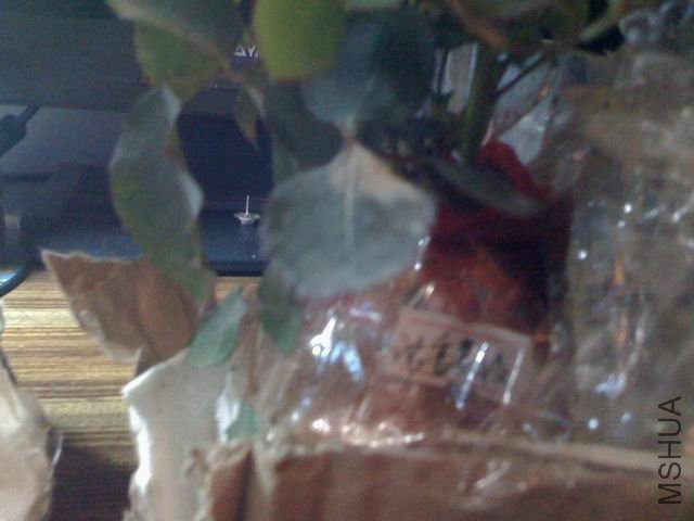 ������С ������С IMG_0032.jpg