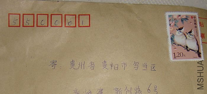 DSC08206.JPG
