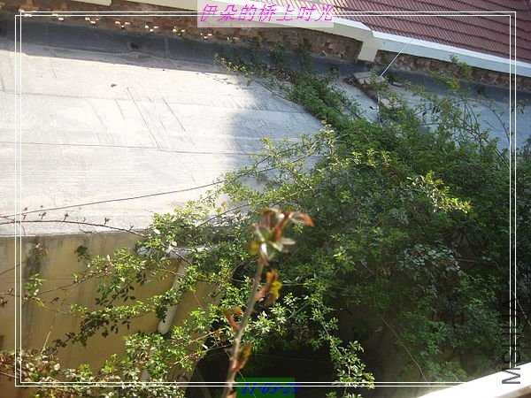 nEO_IMG_��Ƭ 009.jpg