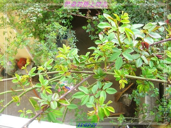 nEO_IMG_��Ƭ 014.jpg