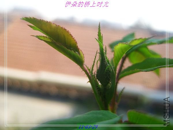 nEO_IMG_��Ƭ 013.jpg