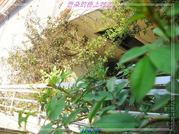 nEO_IMG_��Ƭ 015.jpg