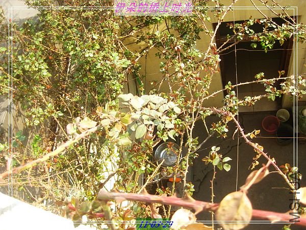 nEO_IMG_��Ƭ 008.jpg