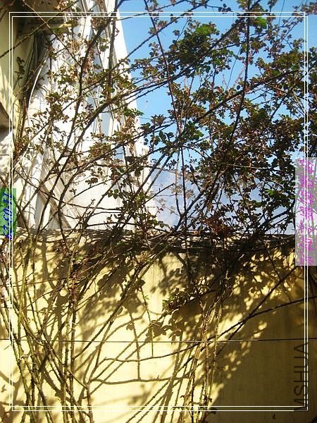 nEO_IMG_��Ƭ 004.jpg