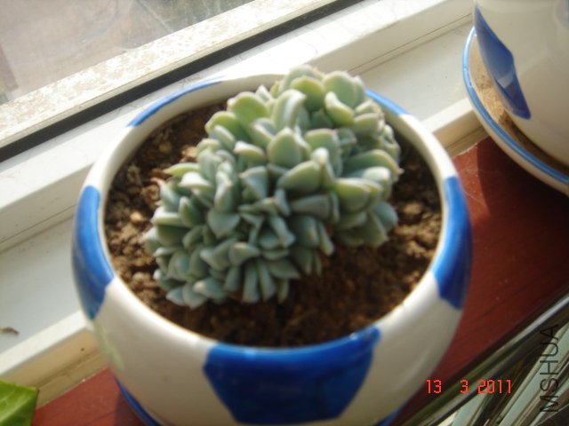 DSC08031.JPG