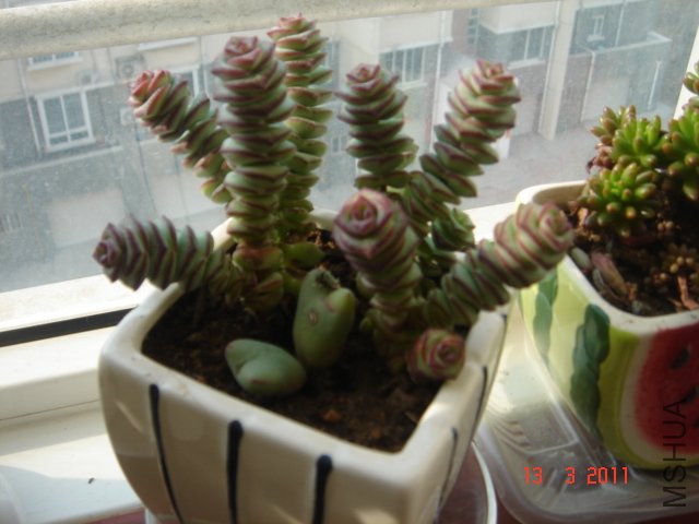 DSC08052.JPG