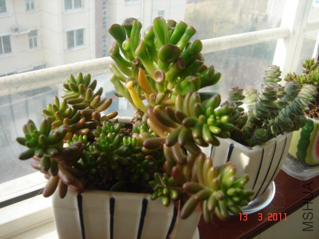 DSC08049.JPG
