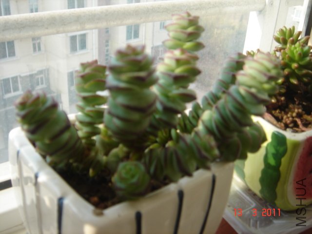 DSC08048.JPG