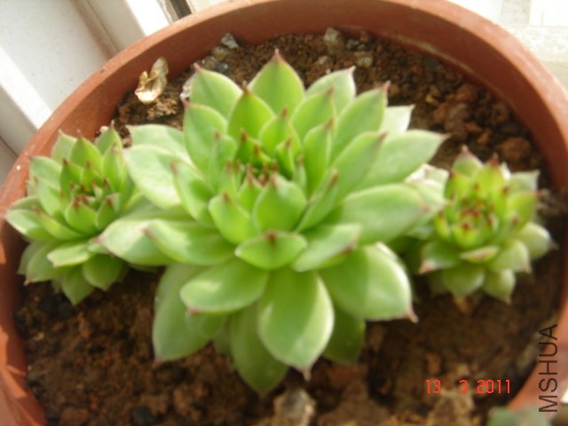 DSC08032.JPG