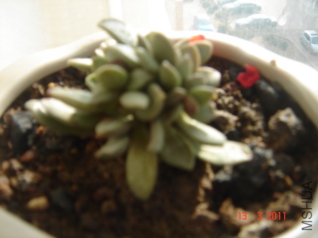 DSC08046.JPG