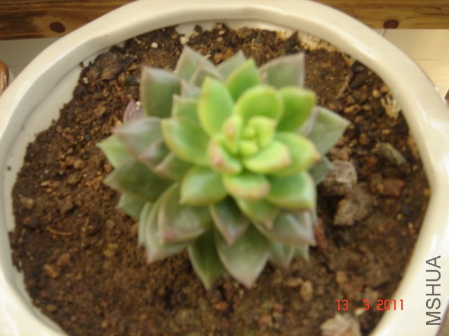 DSC08041.JPG