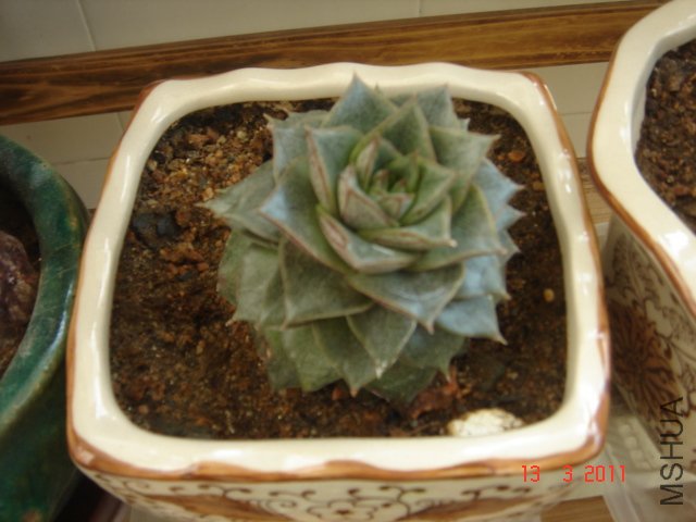 DSC08042.JPG