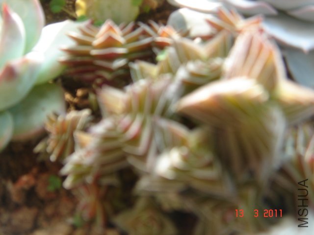 DSC08036.JPG