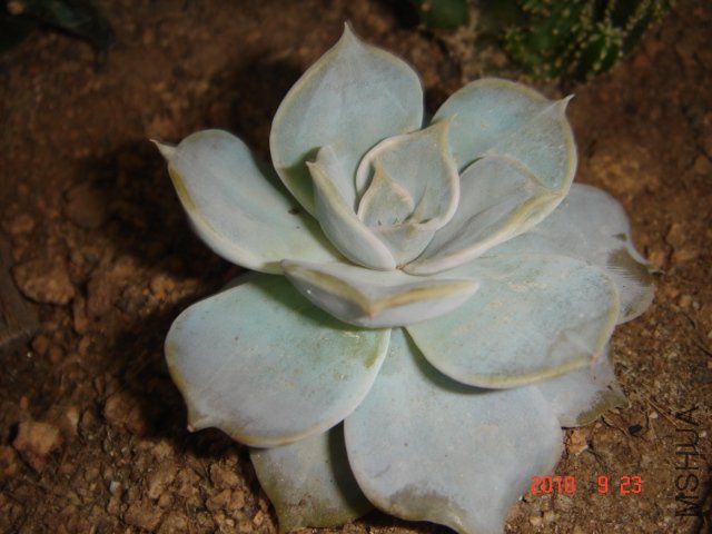 DSC07501.JPG