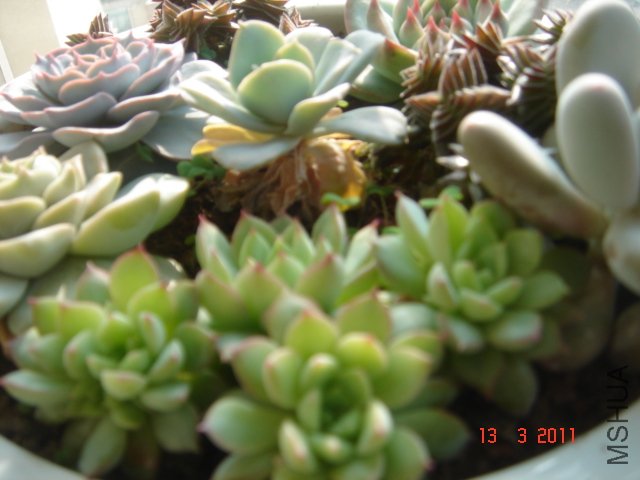 DSC08024.JPG