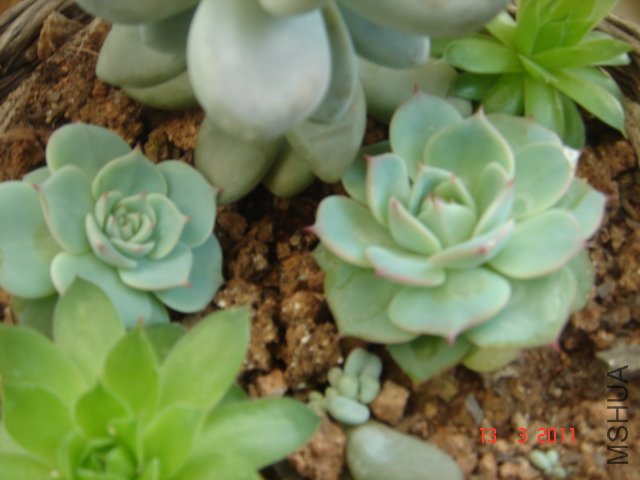 DSC08020.JPG