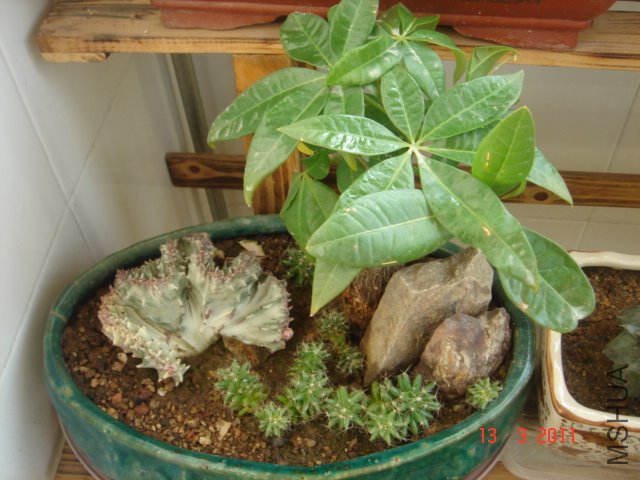 DSC08038.JPG