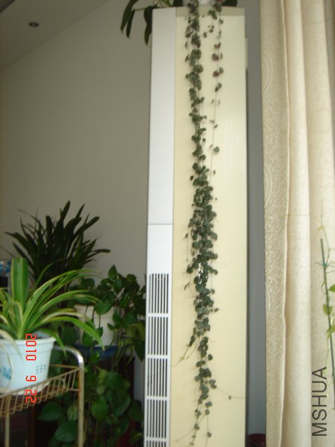 DSC07473.JPG