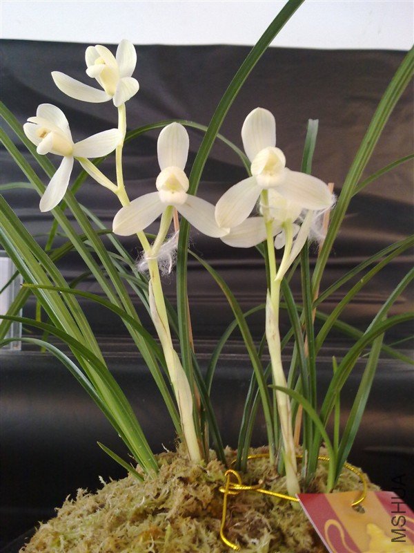 �Ҽ��������ػ�