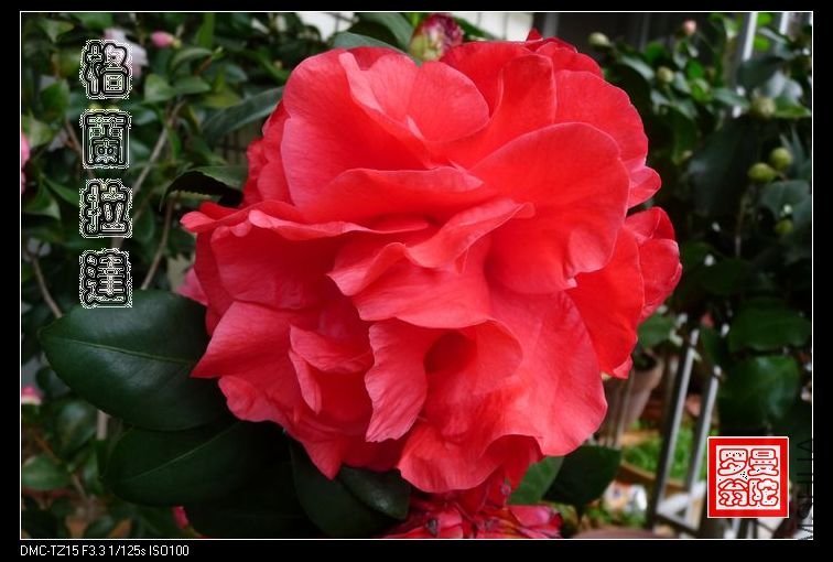 2011��������-03.jpg